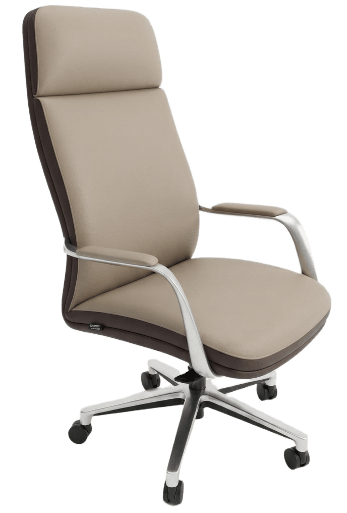 Reclinear Chair 2